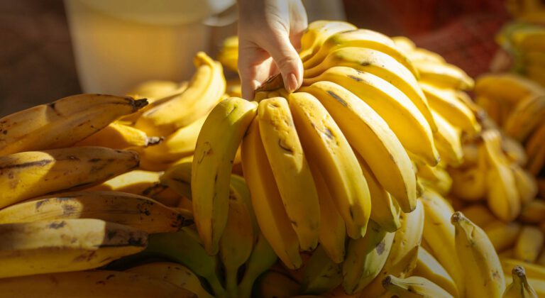 FRUTCO bananas hero image