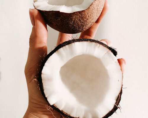 Coconut