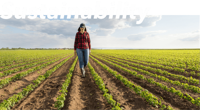 teaser sustainability